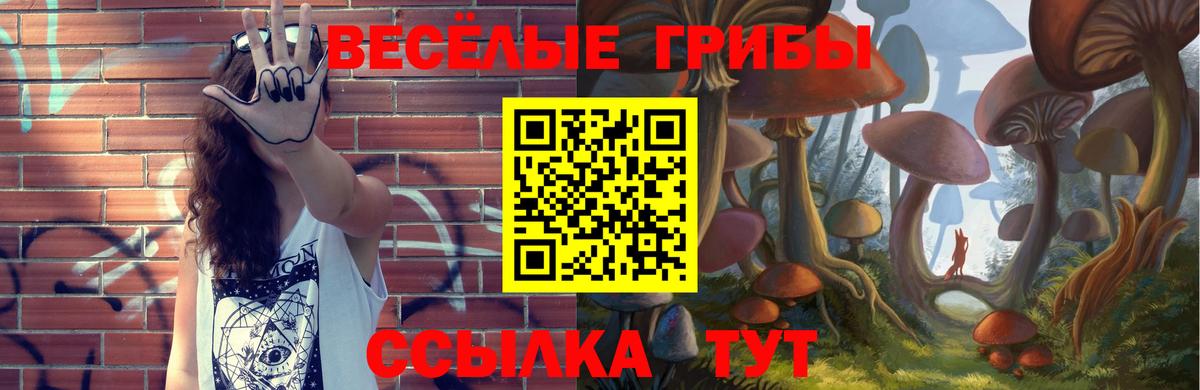 Псилоцибиновые грибы GOLDEN TEACHER  Вход с VPN  Бор  Галлюциногенные грибы прущие грибы 